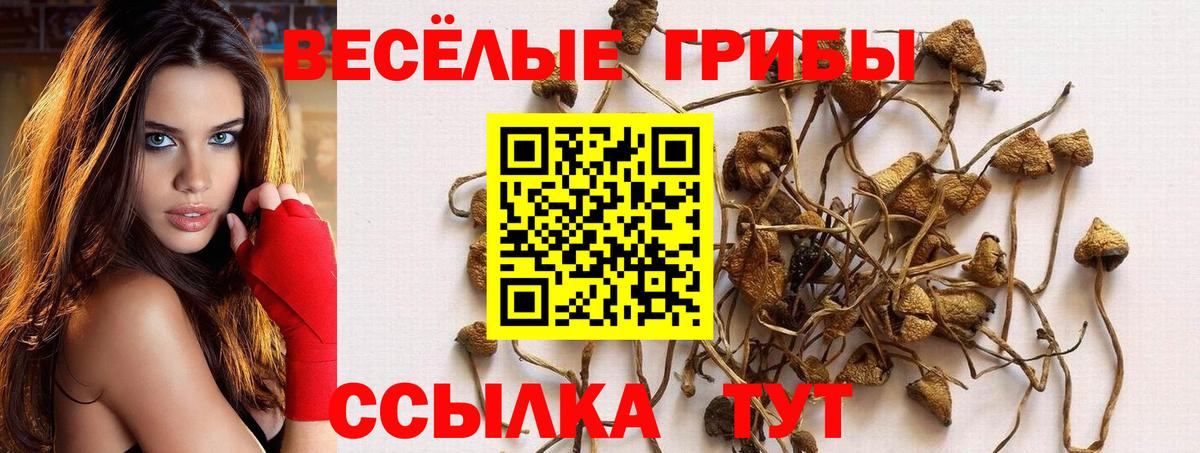 Псилоцибиновые грибы Psilocybe  Вход с VPN  Ростов Великий  Галлюциногенные грибы Cubensis 